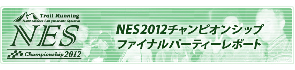 NES2012`sIVbvt@Cip[eB[|[g