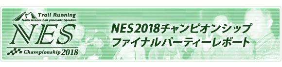 NES2018`sIVbvt@Cip[eB[|[g