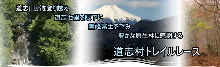 TOPページ